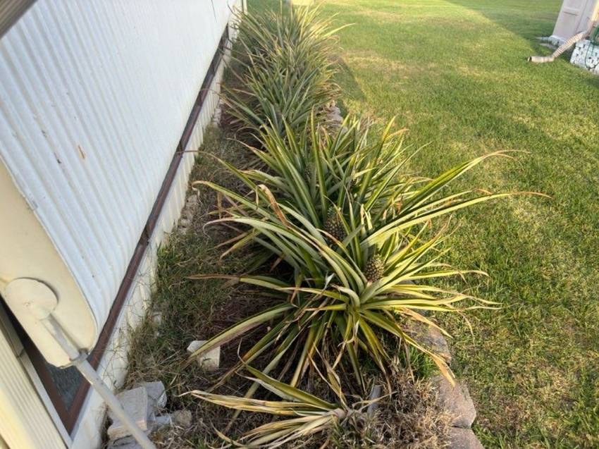 158 Palmetto Drive a Haines City, FL Mobile or Manufactured Home for Sale